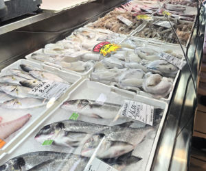 Turystyka rybacka w Cesenatico. Włoskie wybrzeże kusi polskich turystów