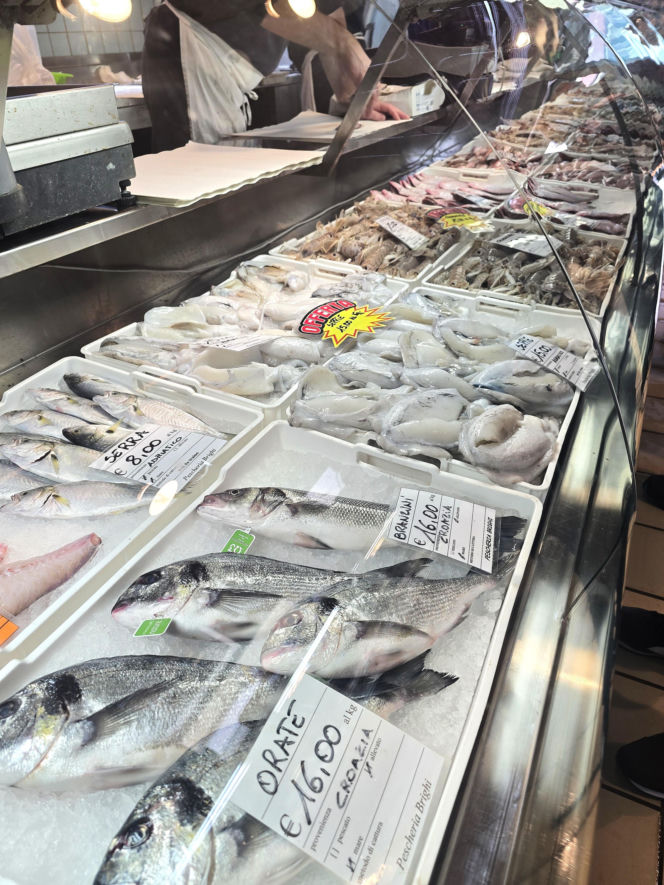 Turystyka rybacka w Cesenatico. Włoskie wybrzeże kusi polskich turystów