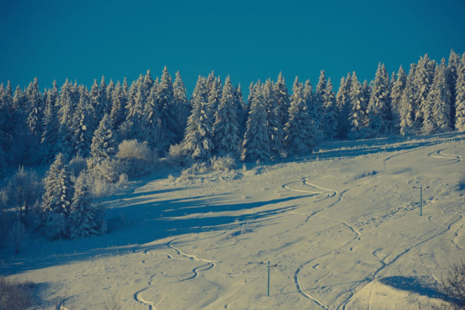 Sezon narciarski wystartował w Zieleńcu na dobre