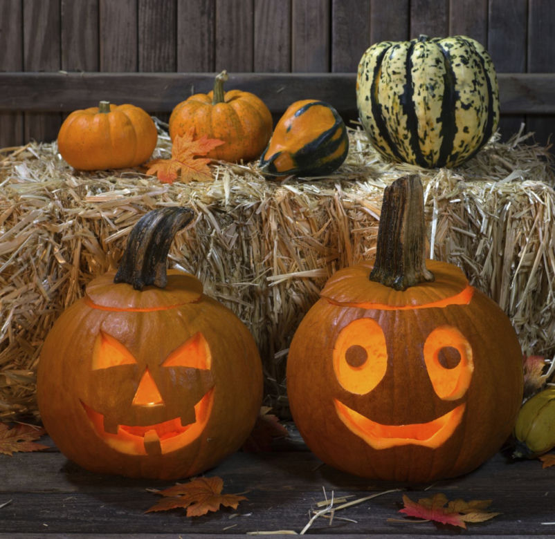 dynia halloween thinkstock.com 4