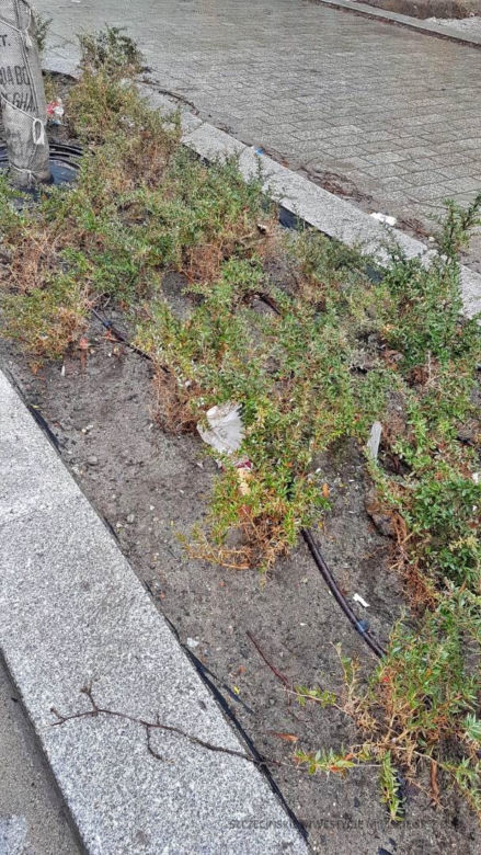 Aleja Wojska Polskiego pełna śmieci... A to plac budowy! 