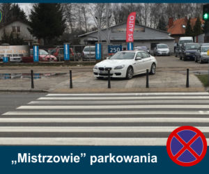 Mistrzowie Parkowania: Zobacz najbardziej kuriozalne pomysły kierowców