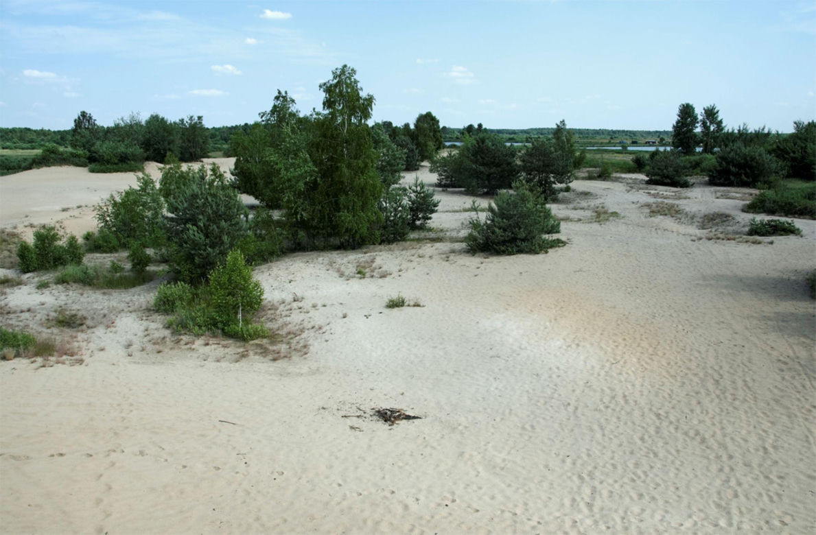Wydma "Pękatka"