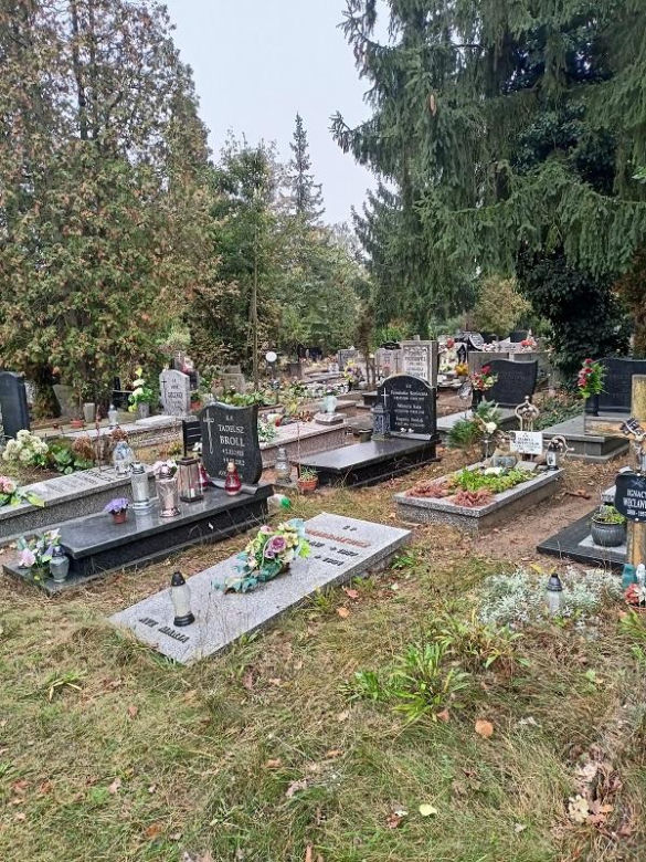 Cmentarz Junikowo Poznań