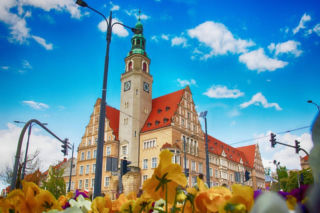 Gdzie Polacy piją najwięcej? Zatrważające dane o sprzedaży małpek