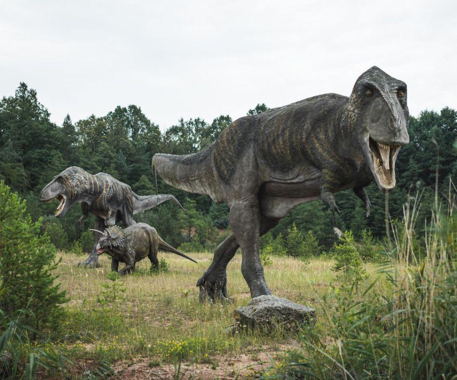 JuraPark w Krasiejowie