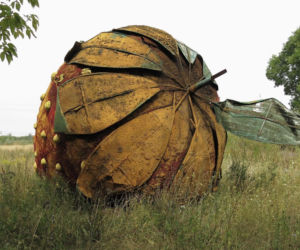 Gigantyczna truskawka leży w polu pod Warszawą
