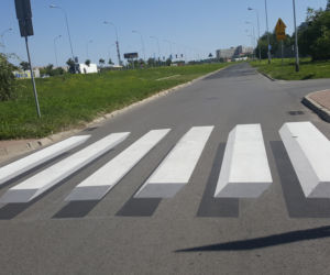Zamojskie przejście 3D