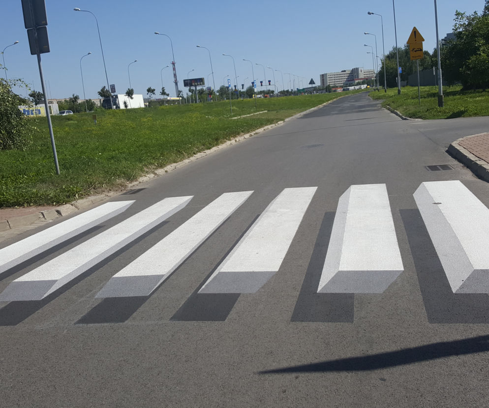 Zamojskie przejście 3D