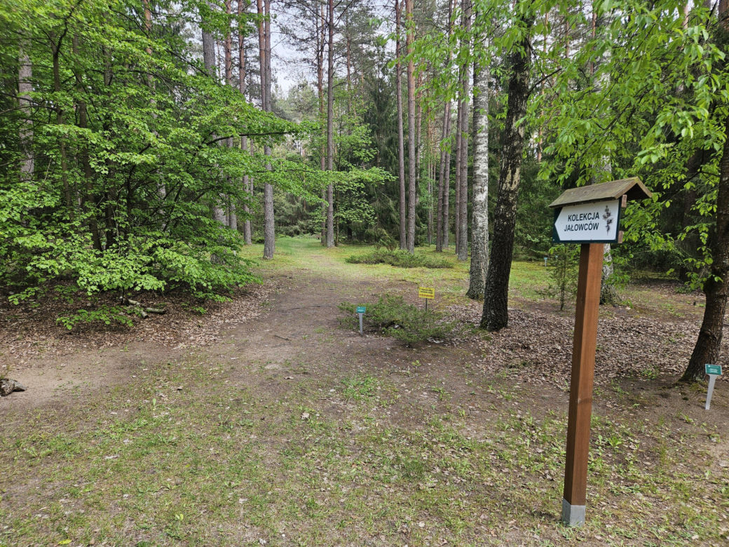 Kopna Góra