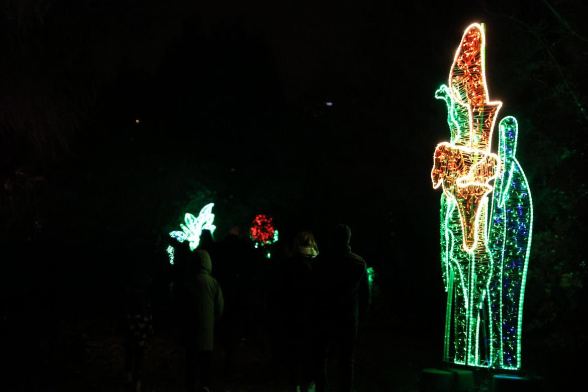 Lumina Park 2023 w Lublinie