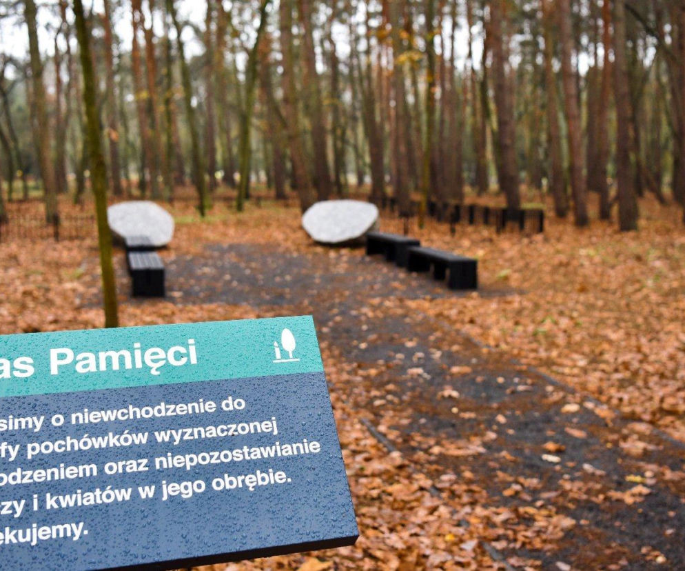 Las Pamięci w Poznaniu