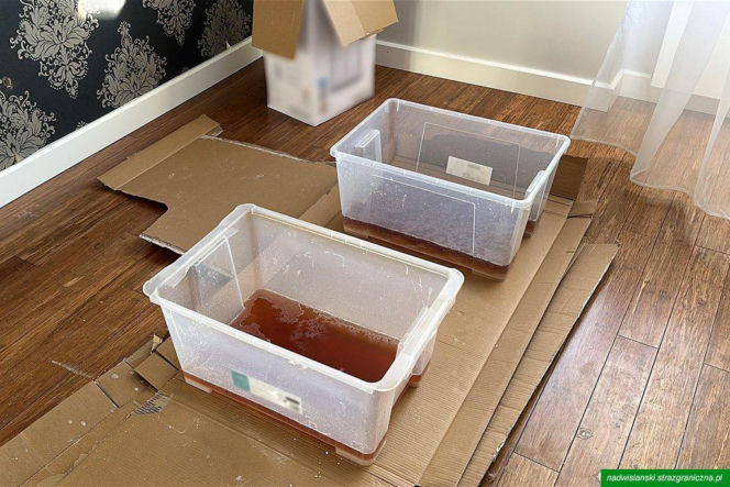 Laboratorium mefedronu w domu w Wawrze