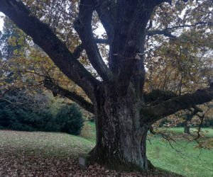 Jesienny spacer po parku zamkowym w Krasiczynie