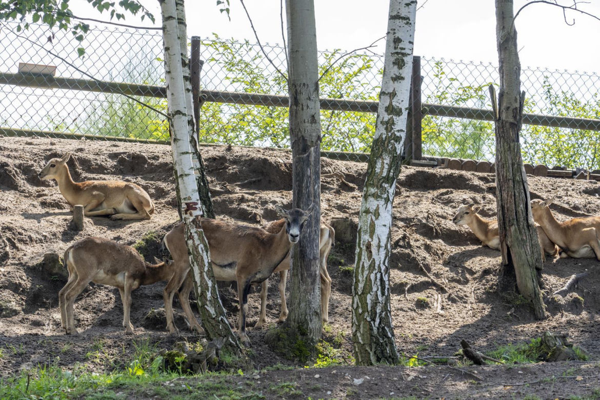 JuraPark Krasiejów