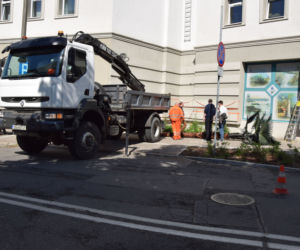 Olsztyn ma nową palmę Kopernika. Zapłacą za nią podpalacze [ZDJĘCIA]