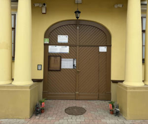 Darmowe palmy na ulicach Suwałk! Niezwykła akcja Radia ESKA