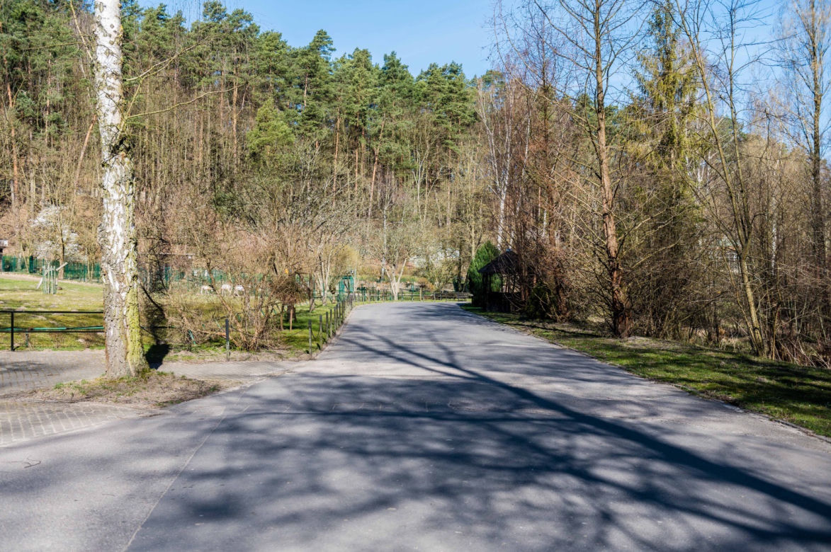 Koronawirus w Trójmieście. ZOO zamknięte na czas kwarantanny
