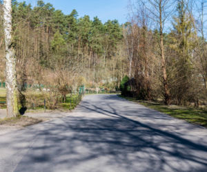 Koronawirus w Trójmieście. ZOO zamknięte na czas kwarantanny