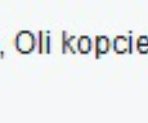 Janiak będzie się procesował z tabloidem o bieda-wakacje nad morzem