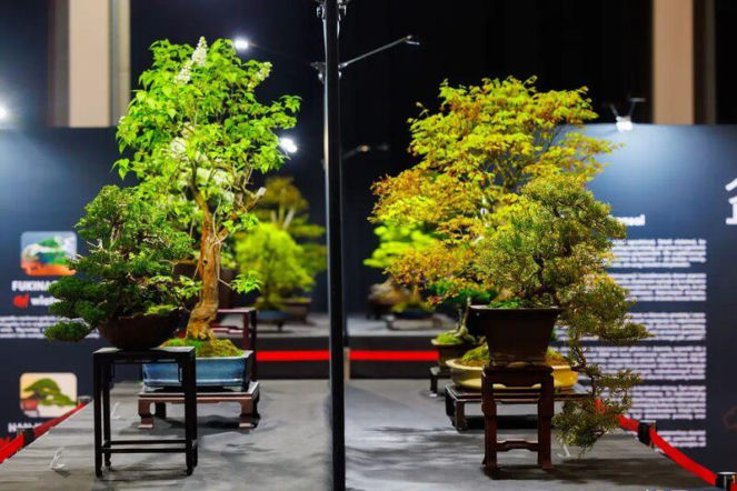 World Flower Show