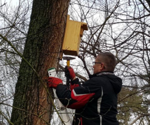  Budki lęgowe zawisły w bydgoskim Ogrodzie Botanicznym UKW w Bydgoszczy