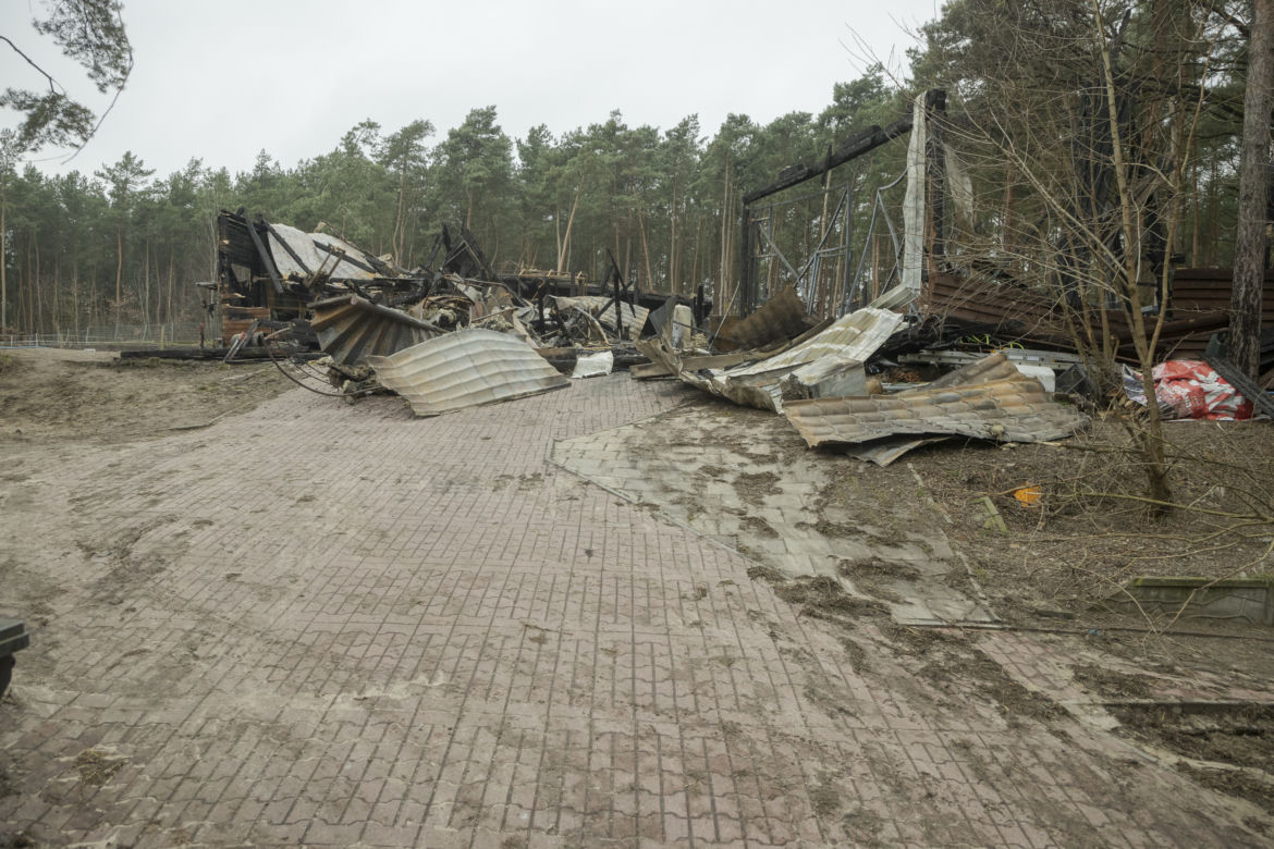  „Chwile przed tragedią miejsce tętniło życiem”. Ogromny pożar stadniny na Białołęce. Spłonęło 8 koni
