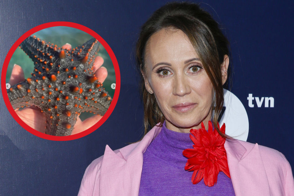 Anna Nowak-Ibisz zmiażdżona przez internautów. Poszło o jej zdjęcia z wakacji!