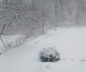 Atak zimy na wybrzeżu. Burze śnieżne, zasypane drogi i alerty IMGW