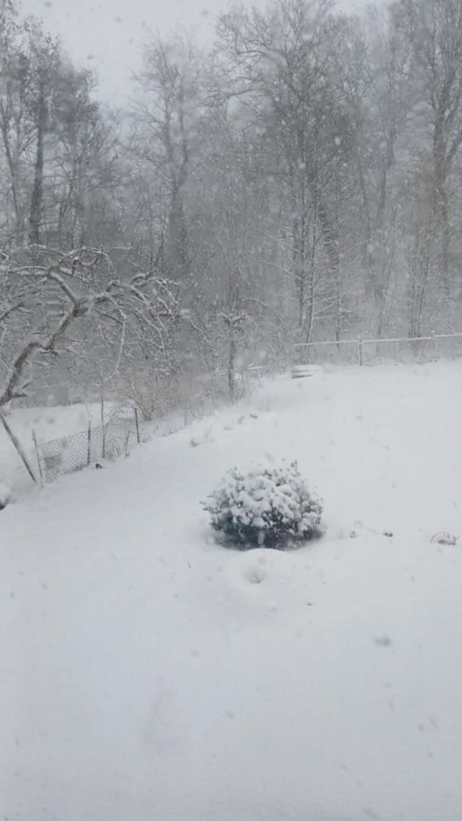 Atak zimy na wybrzeżu. Burze śnieżne, zasypane drogi i alerty IMGW