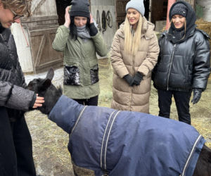 Joanna Krupa odwiedza schronisko dla zwierząt