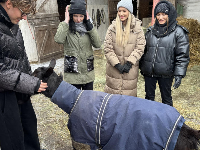 Joanna Krupa odwiedza schronisko dla zwierząt