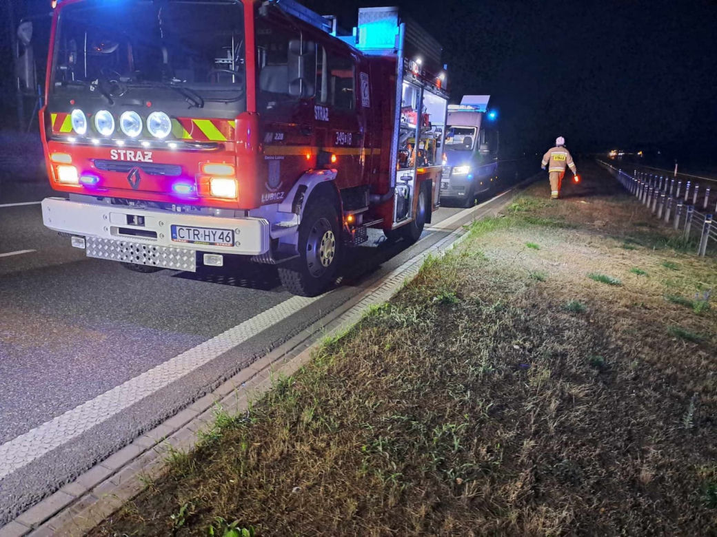 Kierowca uderzył w łosia na autostradzie i zginął! Tragiczny wypadek pod Toruniem [ZDJĘCIA]