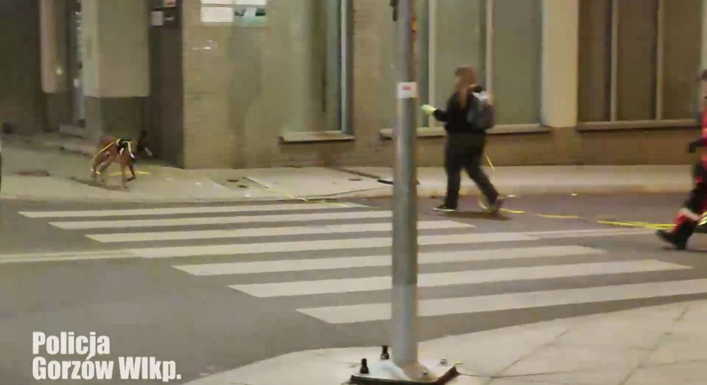 Poszukiwania zaginionego Marcina Jastrzębskiego. Policja przeczesuje cały Gorzów! [ZDJĘCIA]
