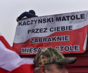 Agrounia zablokowała ważne skrzyżowanie pod Toruniem. Na razie bez większych utrudnień w ruchu drogowym.