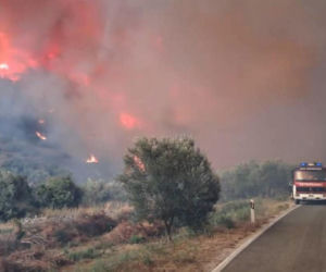 Pożary w Chorwacji na wyspie KORČULA