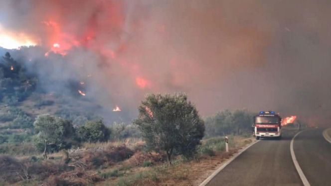 Pożary w Chorwacji na wyspie KORČULA