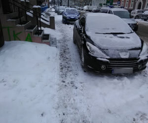 Tak się parkuje w Gliwicach. Straż Miejska opublikowała zdjęcia Miszczów z lutego [GALERIA]