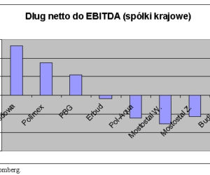 Dług netto do EBITDA (spółki krajowe)