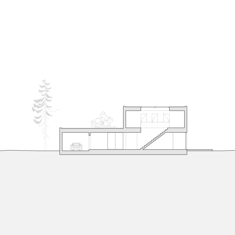 tu.studio98 przekrój