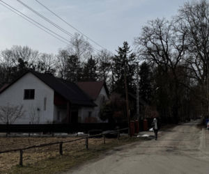 Makabryczna zbrodnia w Zwierzyńcu. Sprzedali dom za fortunę, dzień później zostali zamordowani