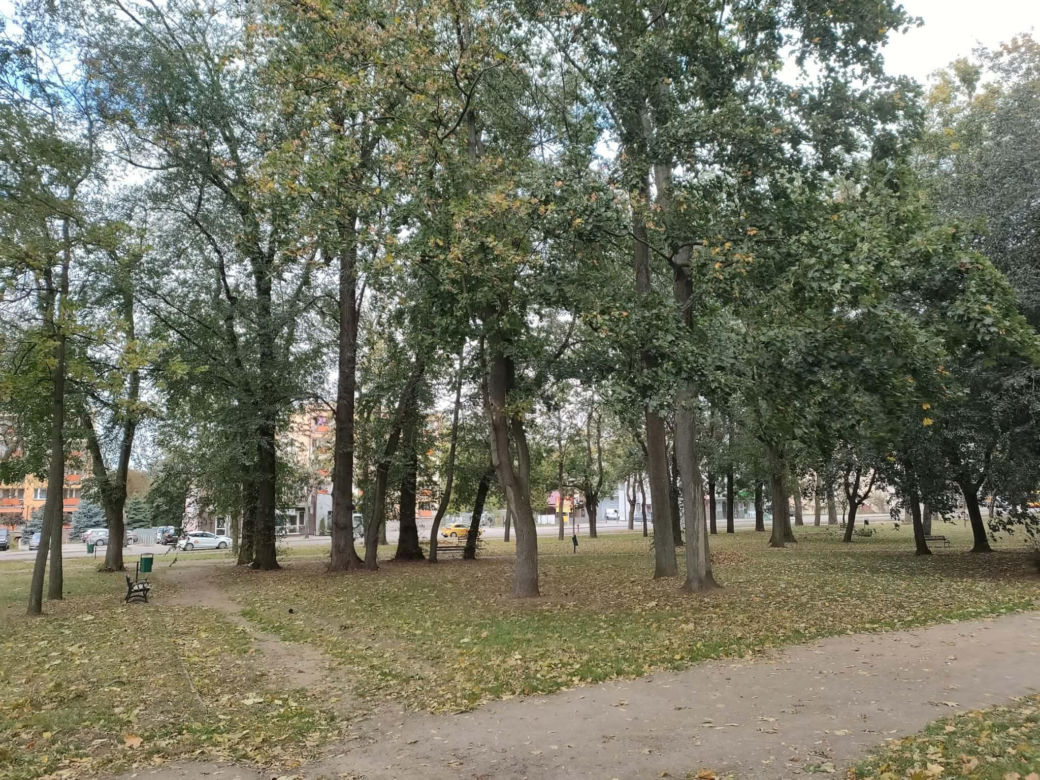 Blisko 12 milionów złotych na tereny zielone w Łomży. Zmiany zajdą na terenie Parków Ludowego, Jakuba Wagi i przy ulicy Katyńskiej