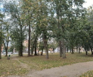 Blisko 12 milionów złotych na tereny zielone w Łomży. Zmiany zajdą na terenie Parków Ludowego, Jakuba Wagi i przy ulicy Katyńskiej