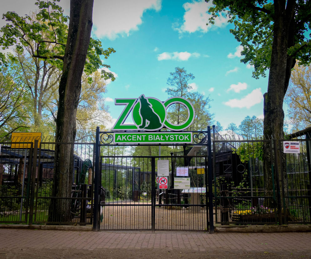 Akcent ZOO w Białymstoku