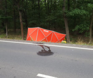 Śmiertelny wypadek na drodze Leszno-Osieczna. Nie żyją dwie osoby 