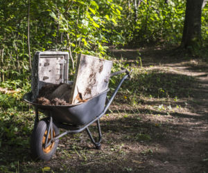 Miejski Trail w Żywcu