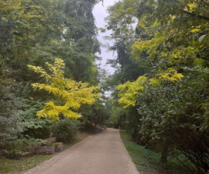 Arboretum Bolestraszyce