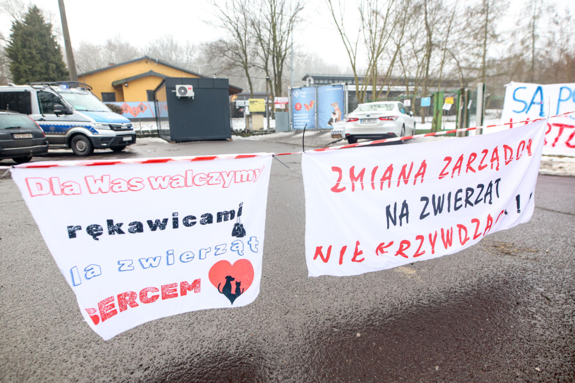 Miał być protest milczenia, doszło do awantury. Gorąco pod schroniskiem w Bytomiu