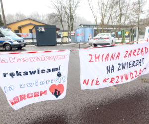 Miał być protest milczenia, doszło do awantury. Gorąco pod schroniskiem w Bytomiu