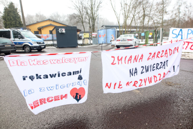 Miał być protest milczenia, doszło do awantury. Gorąco pod schroniskiem w Bytomiu